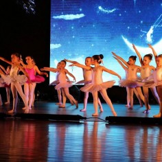 Espetculo da Escola de Ballet encerrou atividades do ano letivo 