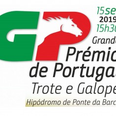 Corrida de Cavalos | Grande Prmio de Portugal