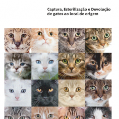 Cmara Municipal vai implementar o Programa CED - Captura, Esterilizao e Devoluo de gatos Errantes Assilvestrados ao local de origem