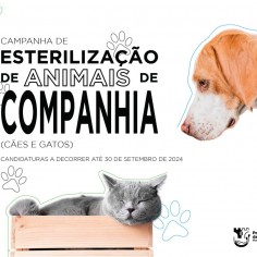 Candidaturas para a Esterilizao de animais de companhia (Ces e Gatos)