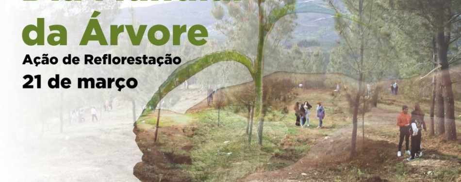 Municpio de Ponte da Barca leva a cabo a plantao de 500 rvores no Dia Mundial da rvore